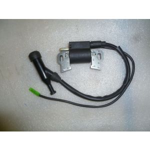 Катушка зажигания SGG 5000(..)/ Coil Assy. Ignition