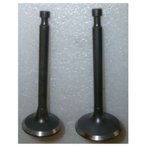 Клапаны впускной/выпускной SGG5000/Valve, IN.Valve, EX.