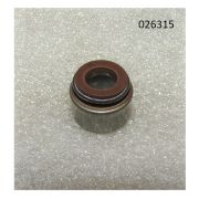 Колпачок маслосъёмный R2V870X / Valve guide oil seal 7*11*10F(WS2V88-02030)