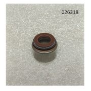 Колпачок маслосъёмный R2V910X / Valve guide oil seal (WS2V88-02030)