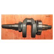 Вал коленчатый SDG 8000EH(EH3),198F (в сборе с подшипником и шестернями) / Crankshaft Assy