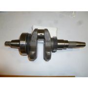 Вал коленчатый SDG 6000(..),С192F (в сборе с подшипником и шестернями) / Crankshaft Assy С192F