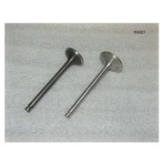 Клапана впускные и выпускные (комплект 1+1шт) Yangdong Y4105D/Valve kit for cylinder (4YDH1-03014 +4
