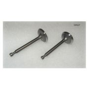 Клапан впуск+выпуск SGG 2000N-3200EN Duplex,SGG 3800Ei,KM170FD (к-т 2 шт.) / Valves Kit (exhaust+intake)(03.02.12121-17001-00+03.02.12111-17001-00)